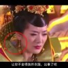 49图库最新版本下载官网